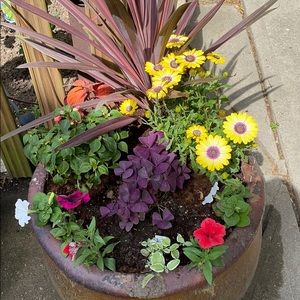 Meet your Posher, Carol